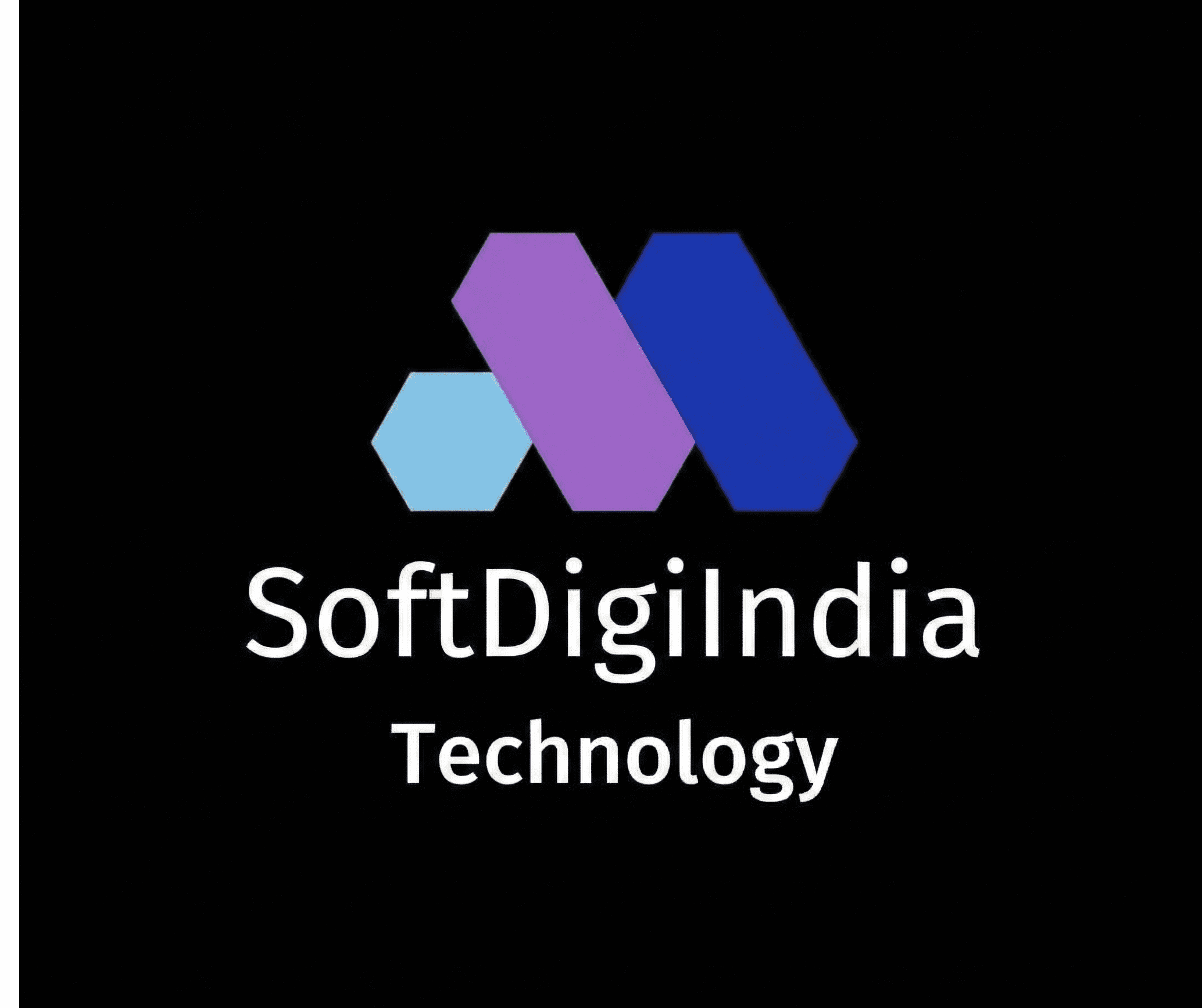 SoftDigiIndia Logo